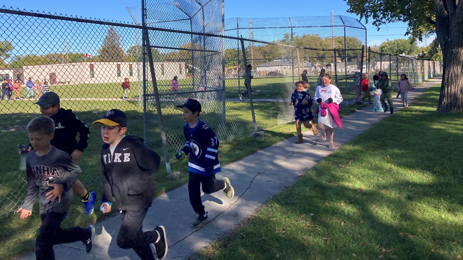 terry fox run